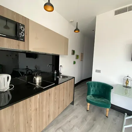 U-nique Rosaleda Apartment Malaga
